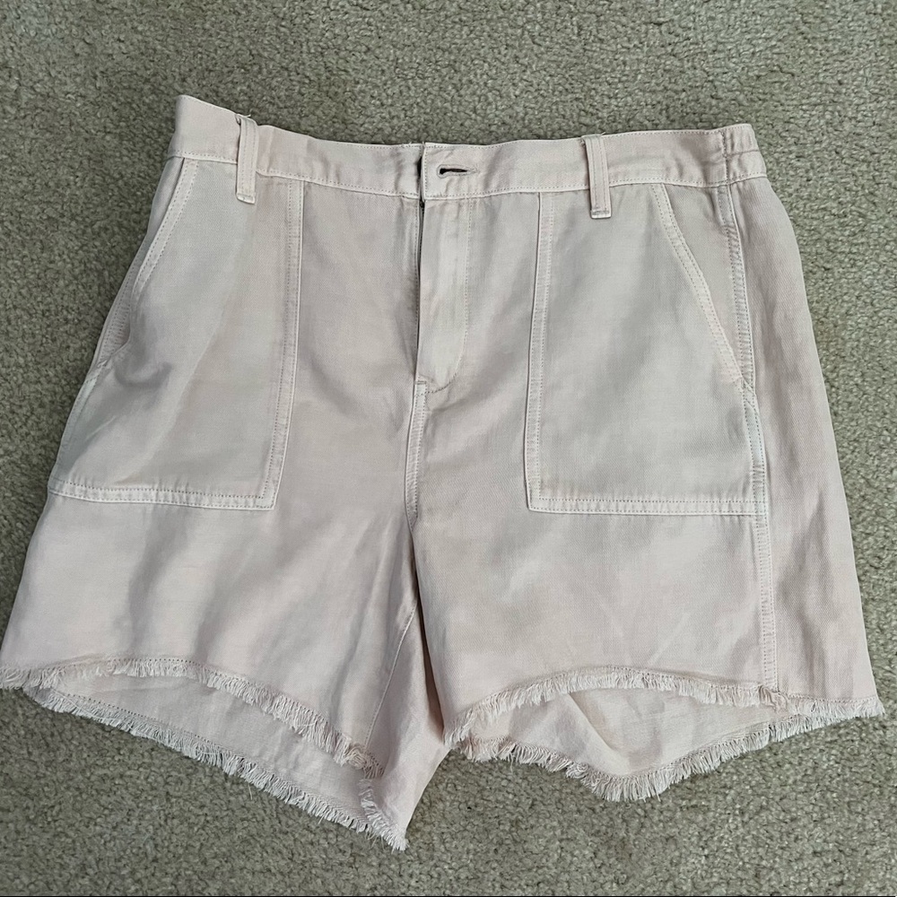 American Eagle Adventure shorts